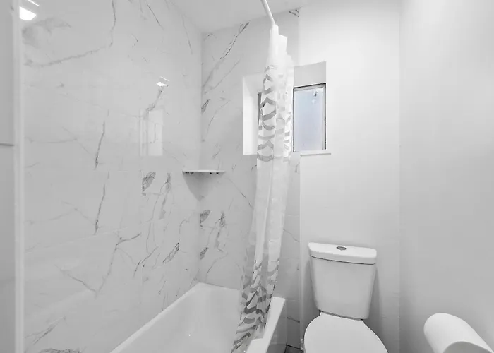 Bloomfield, Shadyside !d Spacious And Unique Bright Private Bedroom With Shared Bathroom Pittsburgh